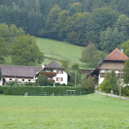Kempfenhof Seelbach  Exterior photo