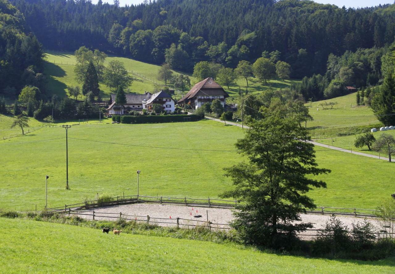 Kempfenhof Seelbach (Baden-Wurttemberg)