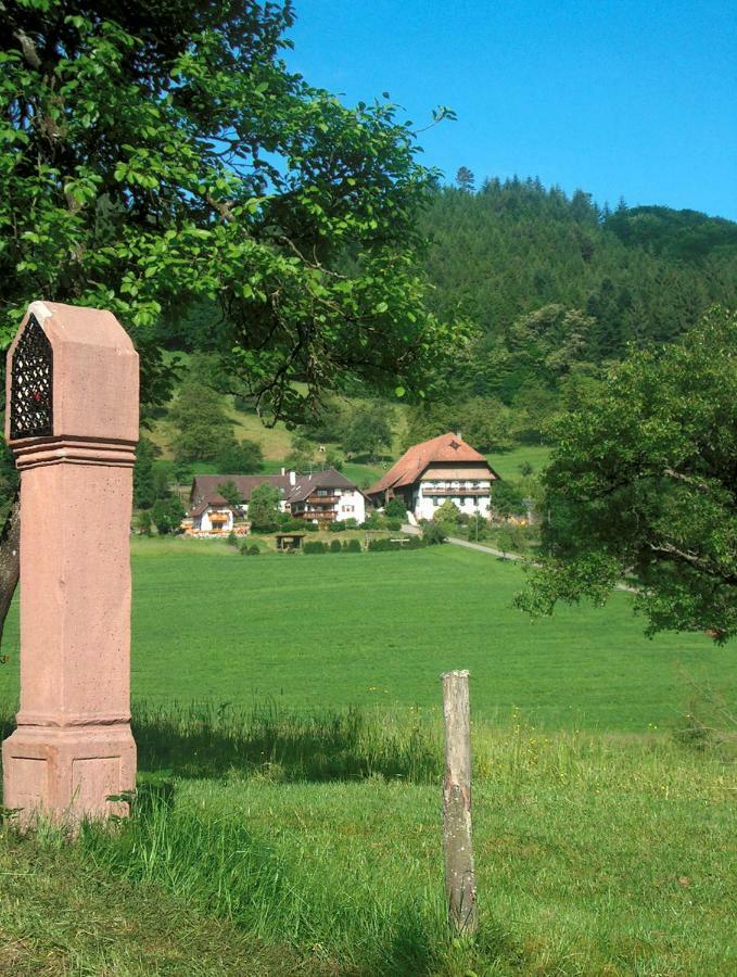 Kempfenhof Apartment Seelbach (Baden-Wurttemberg)