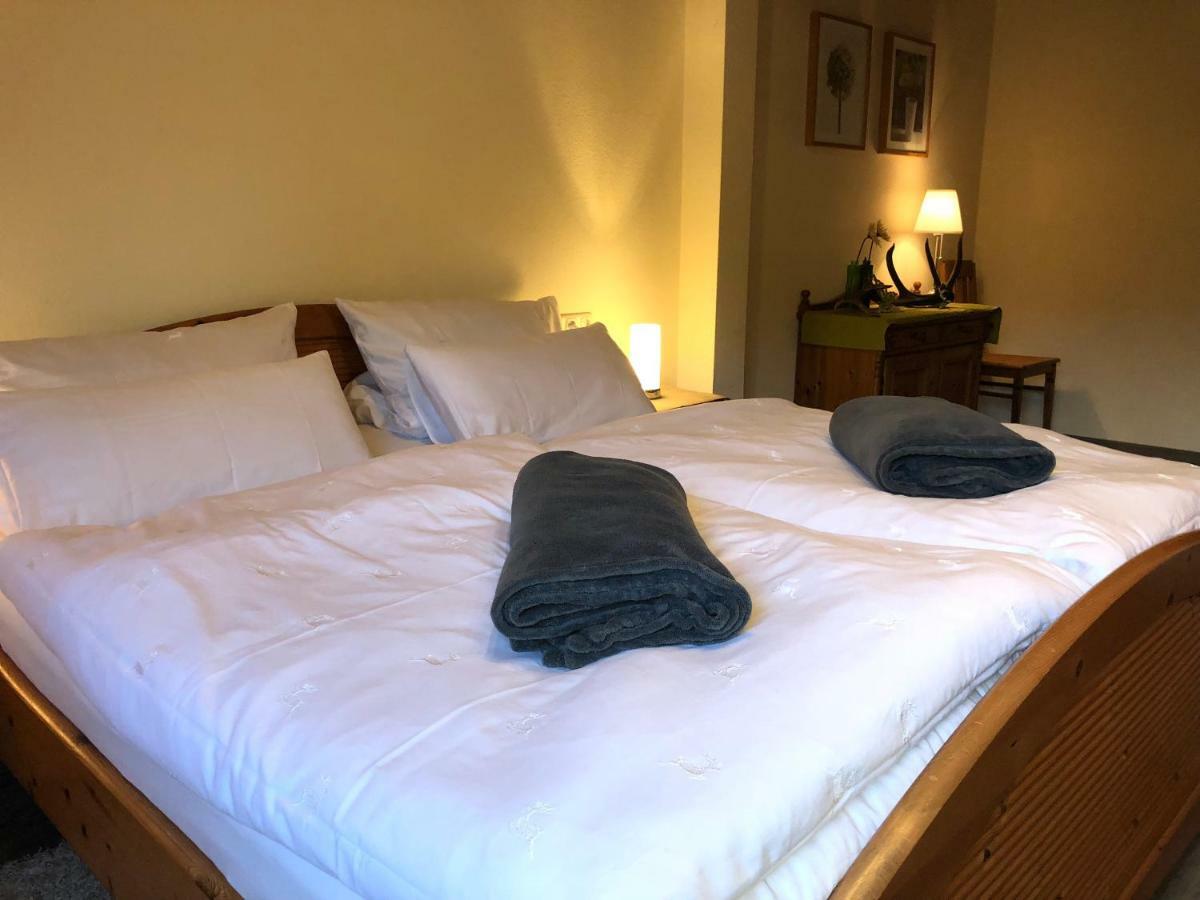 Kempfenhof Apartment Seelbach (Baden-Wurttemberg)