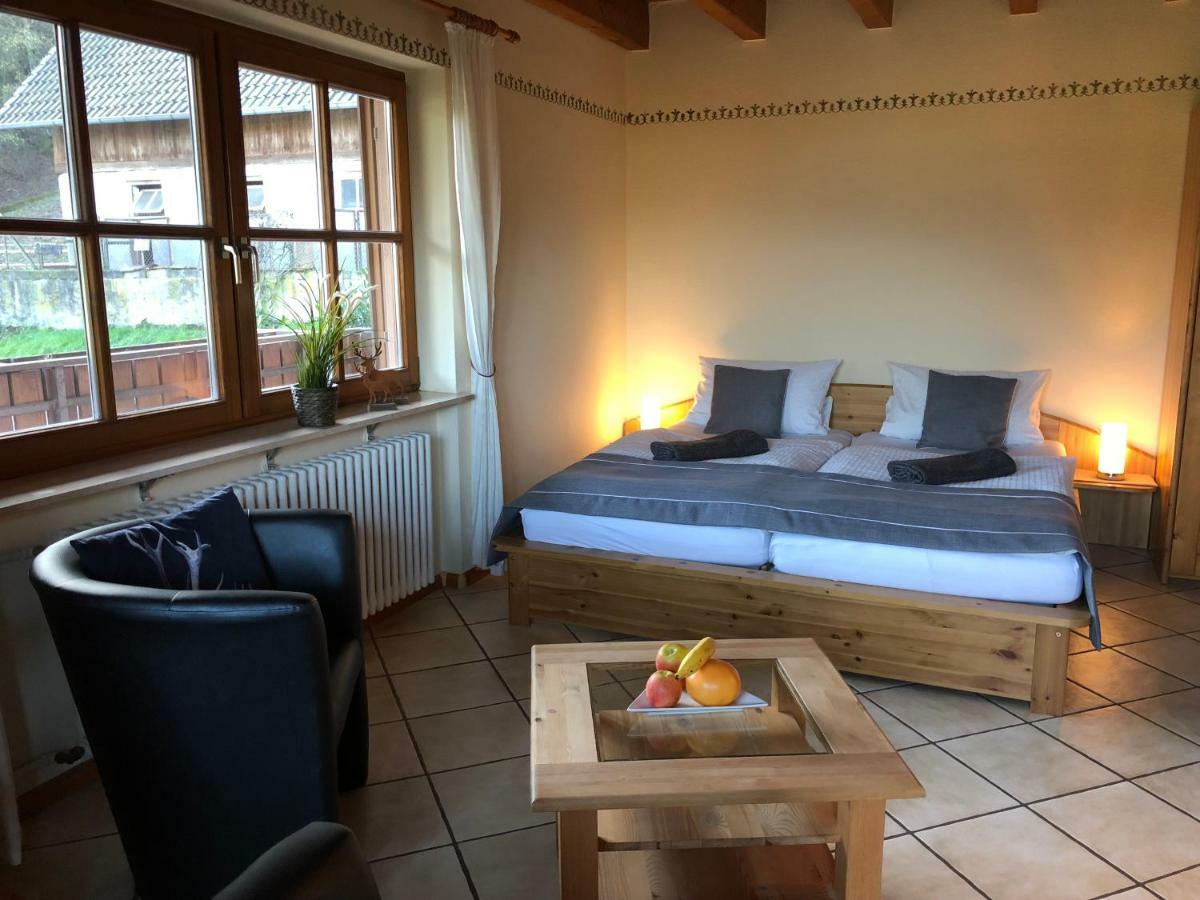 Kempfenhof Apartment Seelbach (Baden-Wurttemberg)